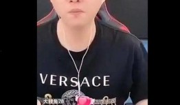 驴哥爆料视频大全最新,揭秘娱乐圈幕后真相