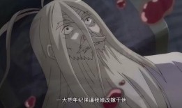 狐妖小红娘内容爆料最新,神秘新篇章，揭秘千年狐妖的宿命之谜