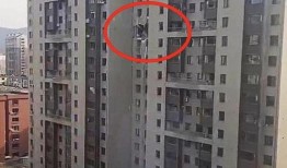 丹东凤城爆料事件最新消息,最新进展揭秘，真相逐步浮出水面